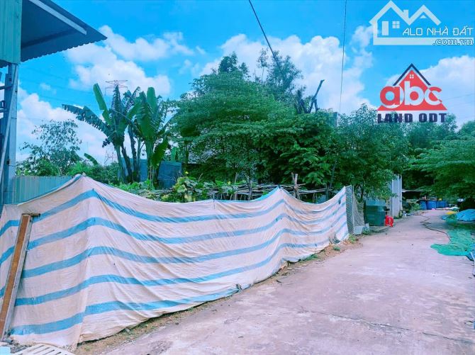 D132 🏚️ bán 2000m2 đất Xã Thiện Tân - có có thổ cư - qui hoạch đất ở - giá 5tỉ990 triệu + - 4
