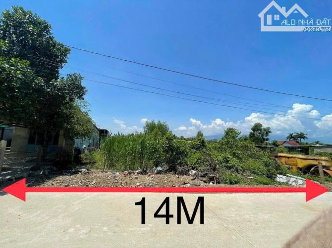 Bán đất Diên Xuân giá rẻ ngay trung tâm khu bàn cờ dân cư thôn Xuân Nam - 4