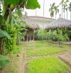 Chào bán đất Cẩm Thanh Hội An. Địa thế đẹp có view sông.