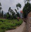 526m phân lô, xây biệt thự đẹp tại Đồi Bông, Thái Lai, Minh Trí, Sóc Sơn