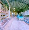 XT360 Cho thuê Xưởng , văn phòng , khuôn viên 1000m2 BIÊN HOÀ - ĐỒNG NAI • Sẵn Cẩu Trục 5t