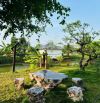 Bán nhanh Homestay nghỉ dưỡng đang vận hành tại xã Đất Đỏ,TDT:gần 12.000m2 giá bán:19,9 tỷ