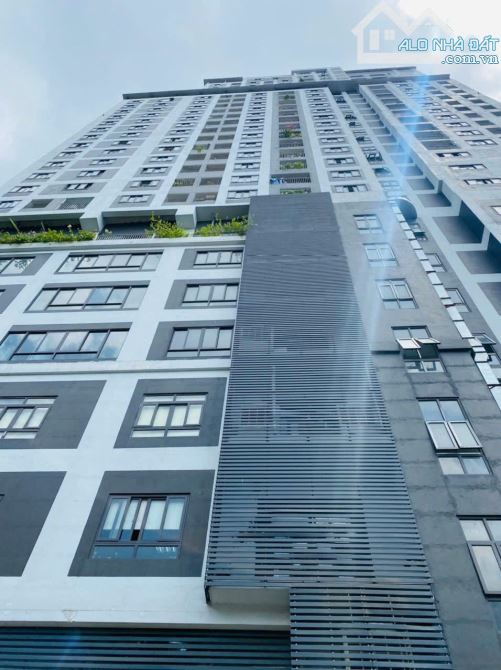 Bán Biệt Thự Liễu Giai, nội thất tiền tỷ, vỉa hè đẹp nhất Quận, 420m, 500 tỷ - 3