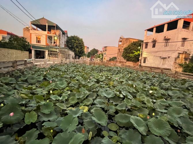 Bán đất đẹp – gần hồ điều hòa, ô tô ngủ trong nhà - 2
