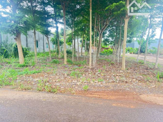 Bán 170m2 đất sổ riêng đường Tây Hòa Trảng Bom Đồng Nai, 920 triệu