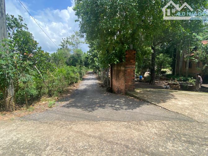bán khu nghĩ dưỡng 14,000m2(1,4ha) đầy đủ tiện nghi chỉ với giá 5 tỷ