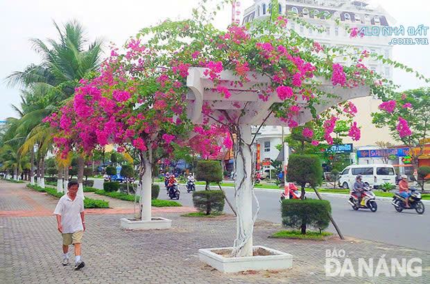 KHÁCH SẠN TRUNG TÂM 4 TẦNG - LÔ ĐÔI- DÒNG TIỀN TỐT- NGAY BẾN XE- GIÁ HẤP DẪN