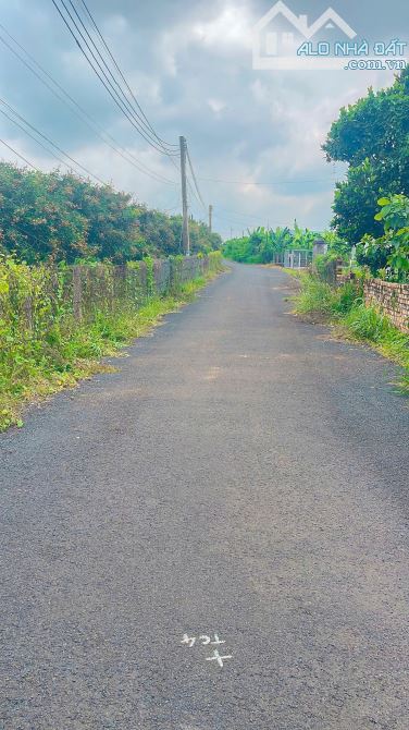 VƯỜN NHÃN 2 MẶT TIỀN ĐƯỜNG NHỰA, SẴN THỔ CƯ, CẠNH THỊ TRẤN GẦN CAO TỐC VÀ GẦN BIỂN HỒ TRÀM