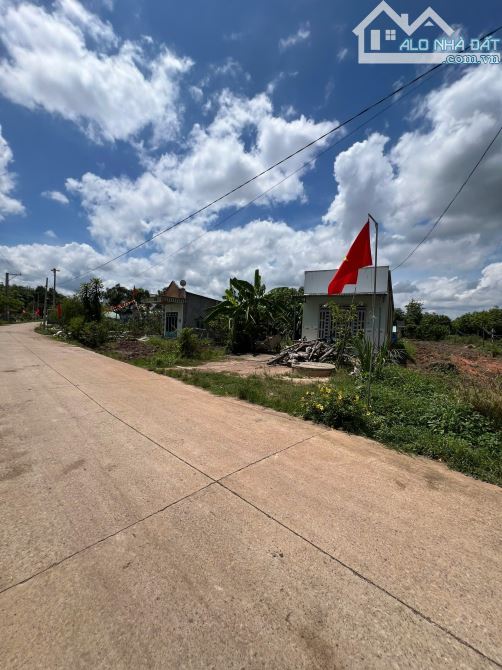 250M2 SÁT BÊN KCN AN LINH CÁCH CHỢ 1KM