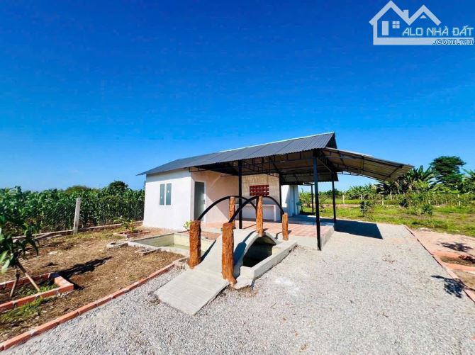 Bán Gấp Nhà Vườn Liền Kề Hồ Đã Xây Rào Và Trồng Cây Ăn Trái Chỉ 1.5 Tỷ