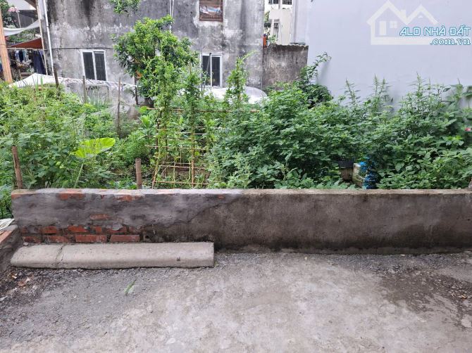 🔥 ĐẤT PHÂN LÔ CỔ BI , GIA LÂM, HÀ NỘI: 32.5M2/3.6 TỶ - NGÕ 5M ĐÓN SÓNG XÁC NHẬP 🔥