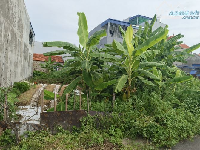 🚨🚨 Bán nhanh 1 lô thôn 2, Thủy Sơn đường nhựa giá thỏa thuận