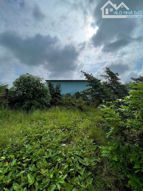 Mặt tiền Kênh Đại Hội, xã Thuận Thành, Cần Giuộc, 2000m2