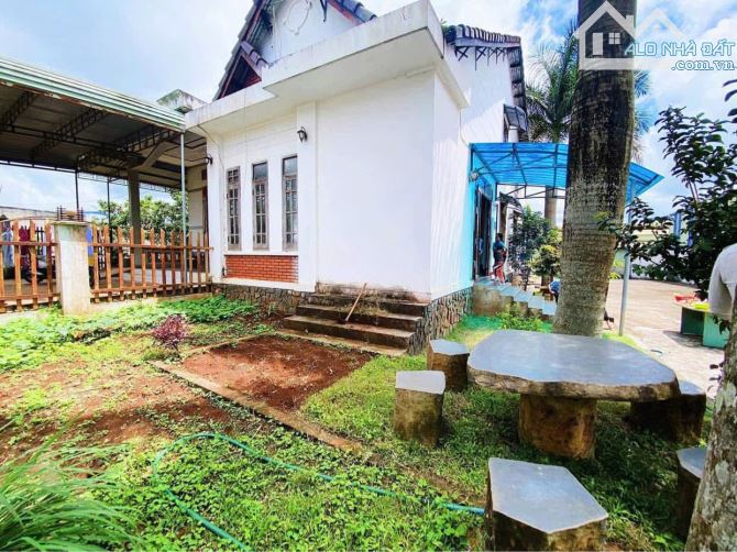 Bán nhà và kho xưởng 3500m2 ngay ngã 3 La Sơn, cách Trường Chinh nối dài, Tp.Pleiku - 10