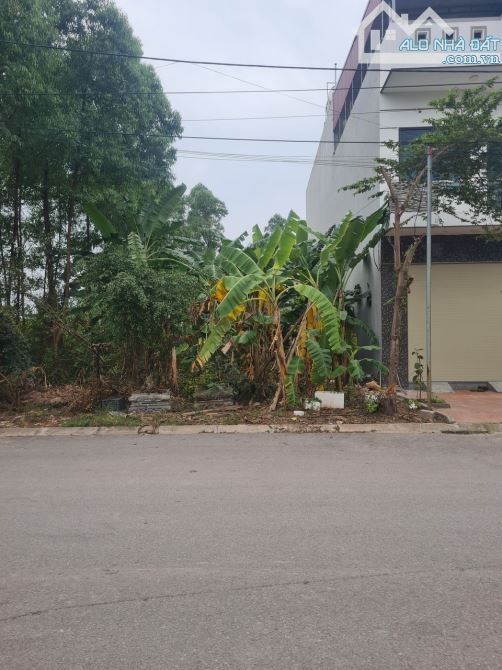Bán Đất Đường Nguyễn Thái học , Tân Mỹ, TP Bắc Giang. 104m2, MT4,5m. Đường 20m. Giá 2,8 tỷ - 1