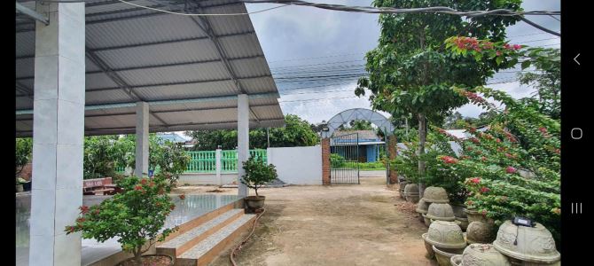 Đất xây dựng biệt thư,  nhà xưởng,  trang trại - 1
