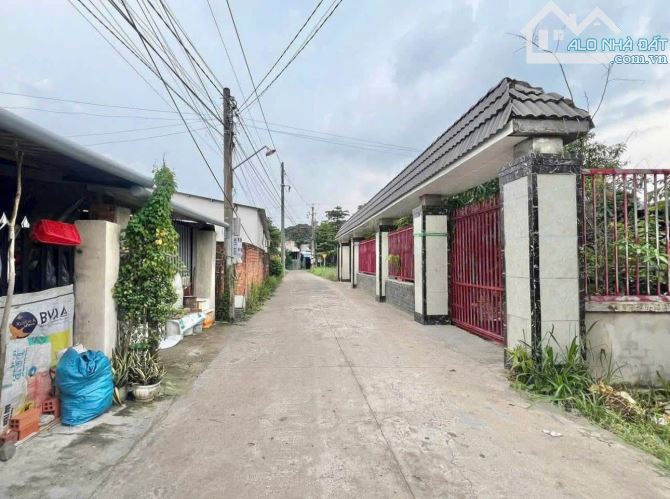 Lô đất hấp dẫn nhất năm - bạn đã sẵn sàng khám phá chưa? Tân Thông Hội 180m2 SHR - 1