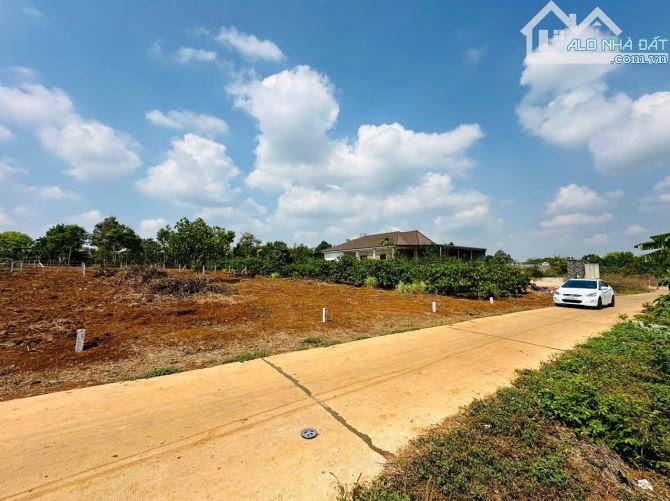 🔥🔥GIÁ CHỈ 3XX SỞ HỮU NGAY LÔ ĐẤT ĐẸP HẺM 412 TRƯỜNG SƠN - GẦN BV BINH ĐOÀN 15 - 1
