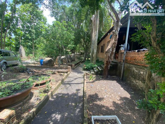 bán khu nghĩ dưỡng 14,000m2(1,4ha) đầy đủ tiện nghi chỉ với giá 5 tỷ - 1