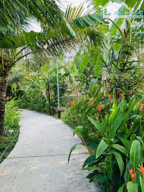 Anh Chủ Bán Homestay Tại Đất Đỏ Gần Biển Hồ Tràm. 1.2 Mẫu Giá 19.9tỷ - 1