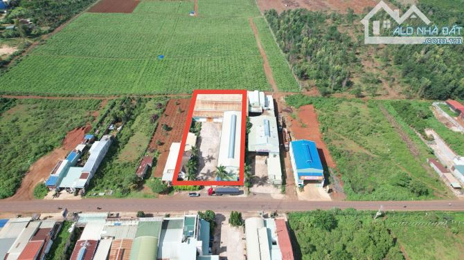 Bán nhà và kho xưởng 3500m2 ngay ngã 3 La Sơn, cách Trường Chinh nối dài, Tp.Pleiku - 1
