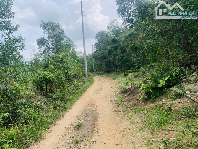 Bán 2.000m2 đất view núi Dinh phường Phú Mỹ tp Hồ Chí Minh - 1