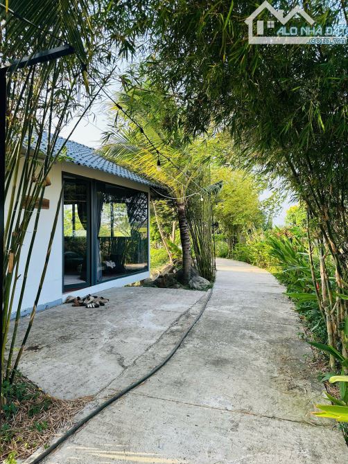 Homestay Đã đầu tư hoàn thiện-giáp suối, view nhìn ra cánh đồng Lúa-12.000m2-19,9 Tỷ - 1