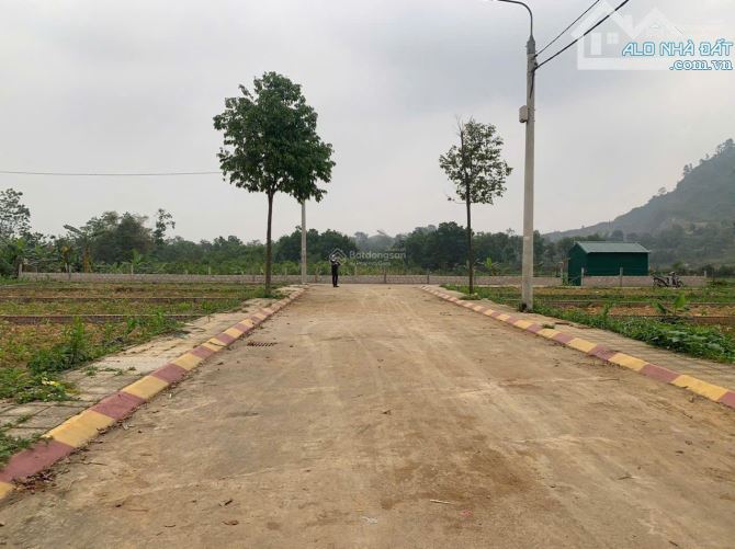Bán Nhanh Lô Đất Tái Định Cư Vai Réo Bắc Phú Cát: 110m2, Mt 5m, Giá Bán 41.5tr/m2 - 1