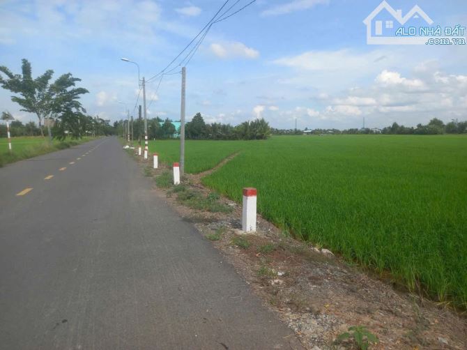 Đất mặt tiền đường Kênh 19/5 , xã Mỹ Lệ, Cần Đước: 5692m2 - 1