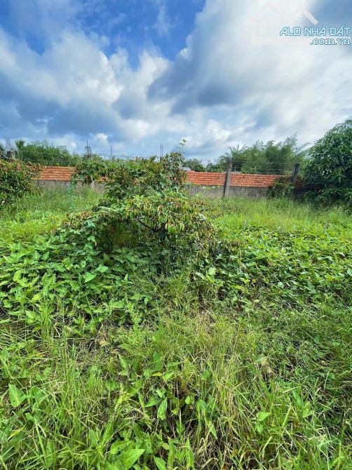Mặt tiền Kênh Đại Hội, xã Thuận Thành, Cần Giuộc, 2000m2 - 1