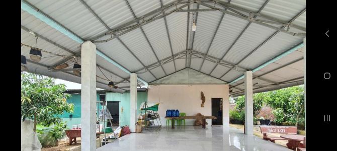 Đất xây dựng biệt thư,  nhà xưởng,  trang trại - 2