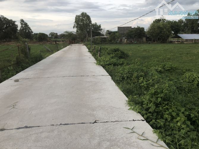 Thị trân Phước Hải-Bán 3550m2- có 81m mặt tiền bê tông xe hơi- qh cây hàng năm. Giá 1tr5/m - 2