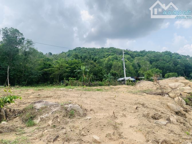 Bán 2.000m2 đất view núi Dinh phường Phú Mỹ tp Hồ Chí Minh - 2
