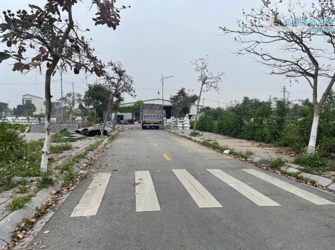 Bán đất đô thị Tây Giang, Tiền Hải - 2