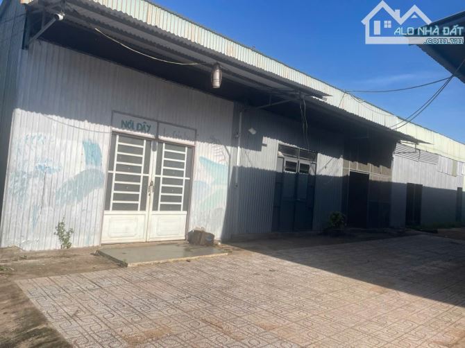 Cho thuê xưởng 12.000m2 Long Thành chỉ 50 triệu - 2