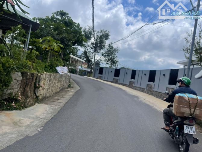 Đất xây biệt thự view thông Hùng Vương gần 250m2 full thổ chỉ hơn 8 tỷ P10 Đà Lạt - 2