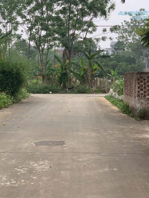 Bán Nhanh Lô Đất Tái Định Cư Vai Réo Bắc Phú Cát: 110m2, Mt 5m, Giá Bán 41.5tr/m2 - 2