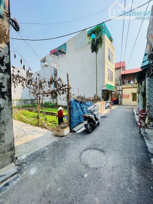LÔ GÓC ĐÔNG HỘI, CẦU ĐÔNG TRÙ cách 300m  51,3m2  Ô TÔ VÀO TẬN ĐẤT trải nhựa chào hơn 5 t.ỷ - 2