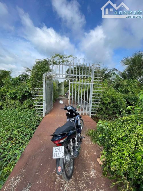 Mặt tiền Kênh Đại Hội, xã Thuận Thành, Cần Giuộc, 2000m2 - 2