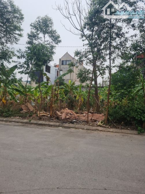 Bán Đất Đường Nguyễn Thái học , Tân Mỹ, TP Bắc Giang. 104m2, MT4,5m. Đường 20m. Giá 2,8 tỷ - 3