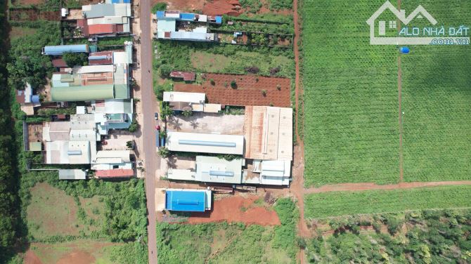 Bán nhà và kho xưởng 3500m2 ngay ngã 3 La Sơn, cách Trường Chinh nối dài, Tp.Pleiku - 3