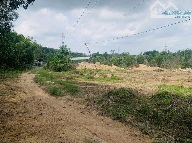 Bán 2.000m2 đất view núi Dinh phường Phú Mỹ tp Hồ Chí Minh - 3