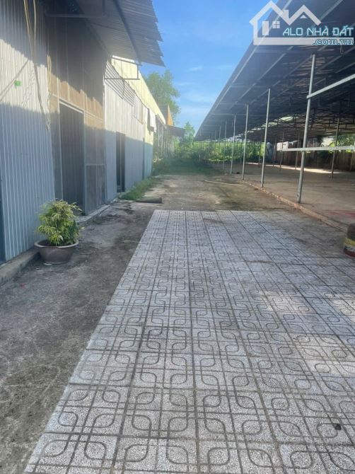 Cho thuê xưởng 12.000m2 Long Thành chỉ 50 triệu - 3