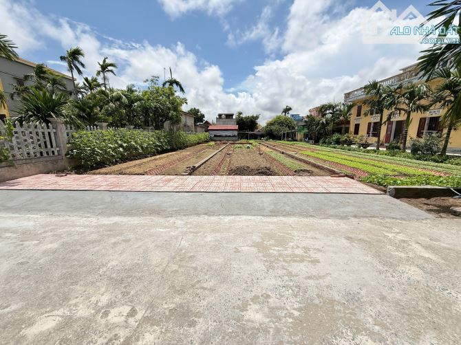 Bán Đất biển trung tâm thị trấn Quất Lâm 126m2 nhỉnh 1 tỷ, hướng biển, ô tô kinh doanh - 3
