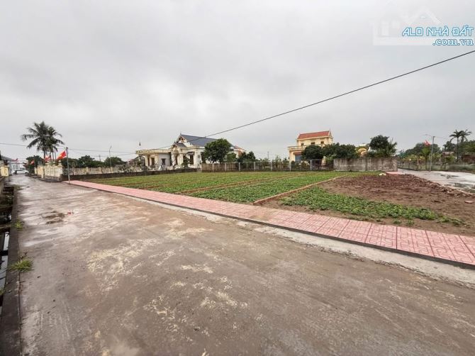 Bán Đất biển trung tâm thị trấn Quất Lâm 250m2 MT10m hướng biển, ô tô kinh doanh hơn 10tr - 3