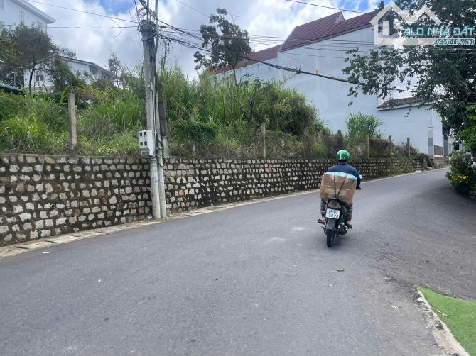 Đất xây biệt thự view thông Hùng Vương gần 250m2 full thổ chỉ hơn 8 tỷ P10 Đà Lạt - 3