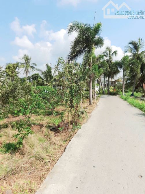 Hàng ngộp, 180m2 đất thổ cư gần Chợ Đức Tân, 350tr - 3