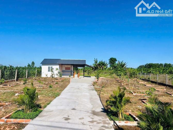 Bán Gấp Nhà Vườn Liền Kề Hồ Đã Xây Rào Và Trồng Cây Ăn Trái Chỉ 1.5 Tỷ - 3