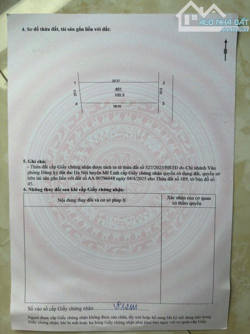 Bán 100m2 đất măt tiền 5m trục chính Thường Lê, Đại Thịnh, Mê Linh ô tô vào nhà giá đầu tư - 3