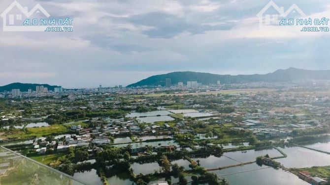 Cho thuê chung cư Dic Phoenix 1pn full nội thất đẹp View hồ phụng hoàng - 3